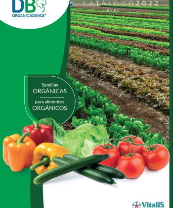 Semillas organicas para alimentos orgánicos